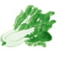 菜根谈