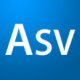 aisinvon